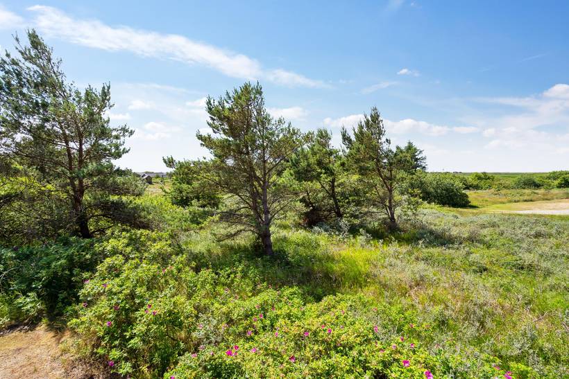 Foto von Ferienhaus TS37 in Bolilmark - Rømø