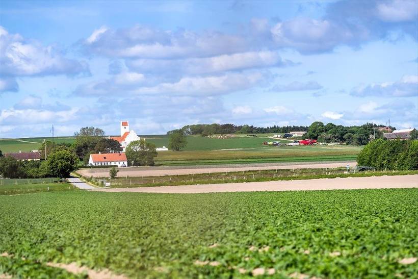 Foto von Ferienhaus TS49 in Mårup - Samsø