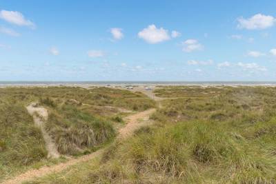 Vorschaubild von Ferienhaus TS80 in Rindby - Fanø