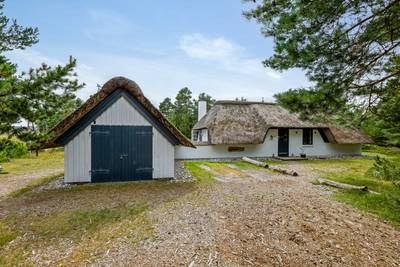 Vorschaubild von Ferienhaus TS83 in Blåvand - Westjütland