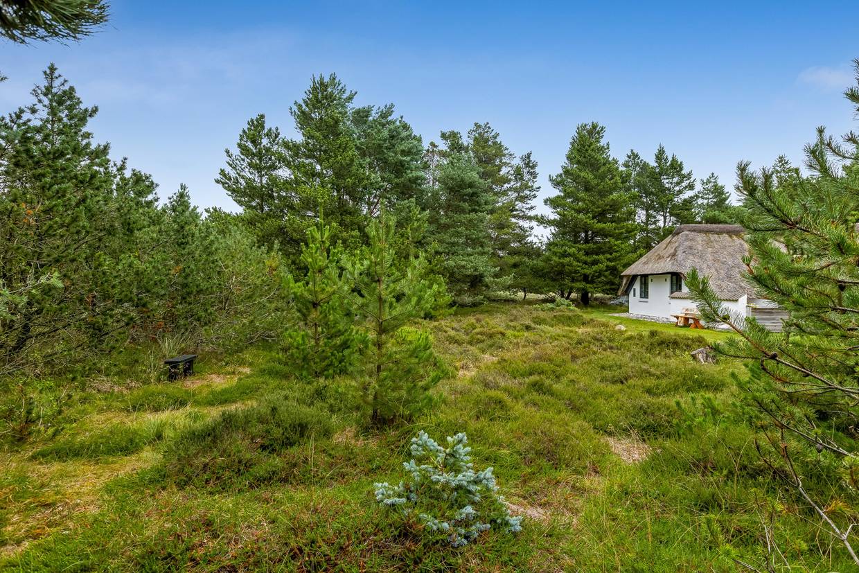 Foto von Ferienhaus TS83 in Blåvand - Westjütland