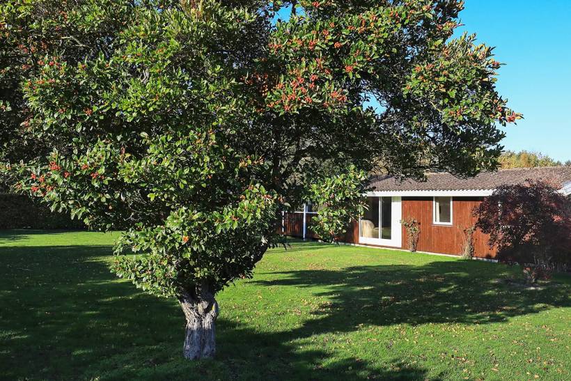 Foto von Ferienhaus TT77 in Marielyst - Falster