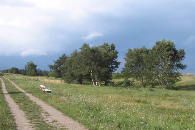Foto von Ferienhaus TT77 in Marielyst - Falster