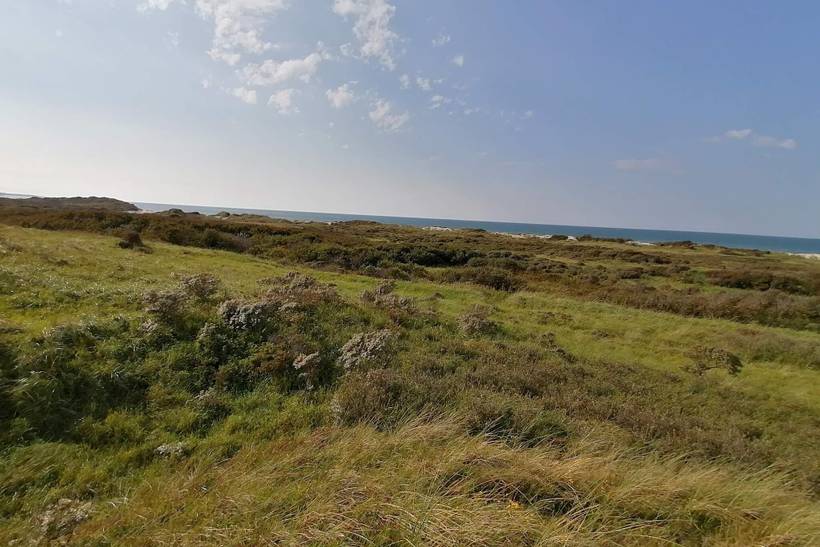 Foto von Ferienhaus TV30 in Tversted - Nordjütland