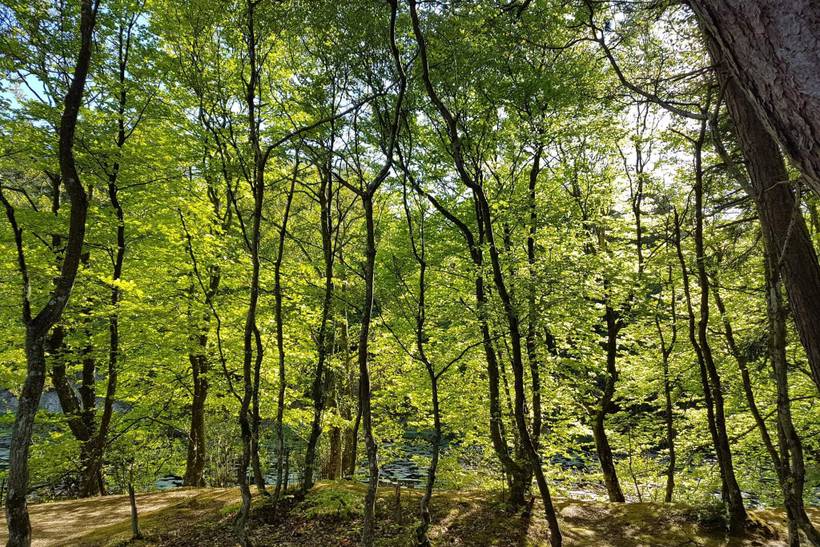 Foto von Ferienhaus TV30 in Tversted - Nordjütland