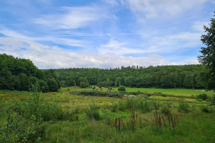 Foto von Ferienhaus TV30 in Tversted - Nordjütland