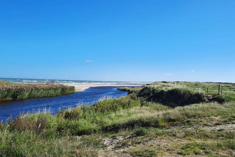 Foto von Ferienhaus TV30 in Tversted - Nordjütland