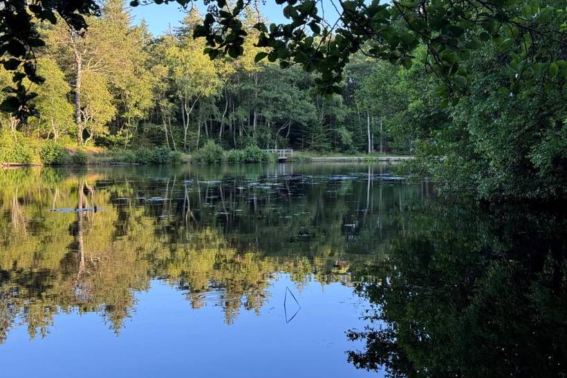 Foto von Ferienhaus TV30 in Tversted - Nordjütland