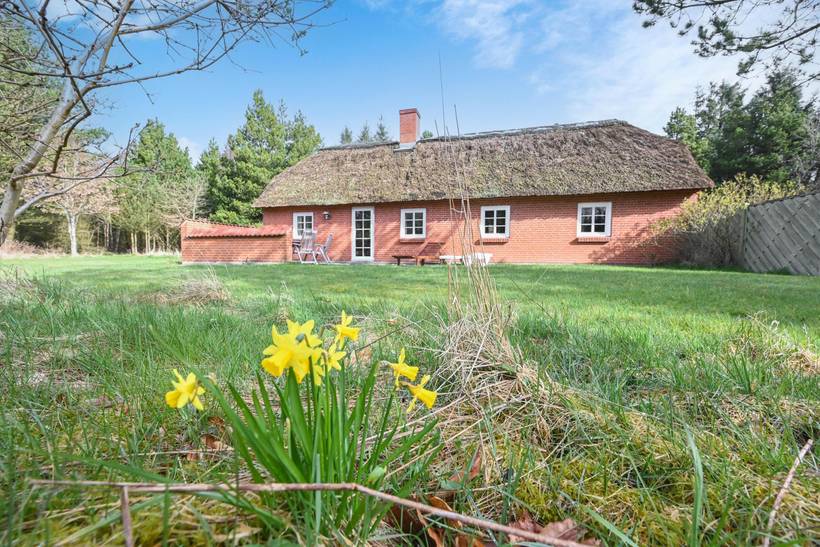 Foto von Ferienhaus TV58 in Vester Husby - Westjütland