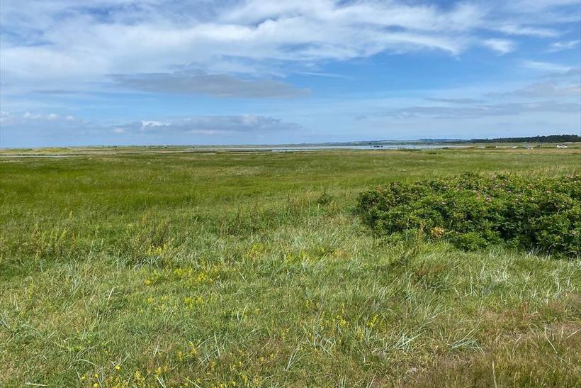 Foto von Ferienhaus TV88 in Sejerø Bugt - Westseeland