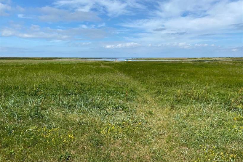 Foto von Ferienhaus TV88 in Sejerø Bugt - Westseeland
