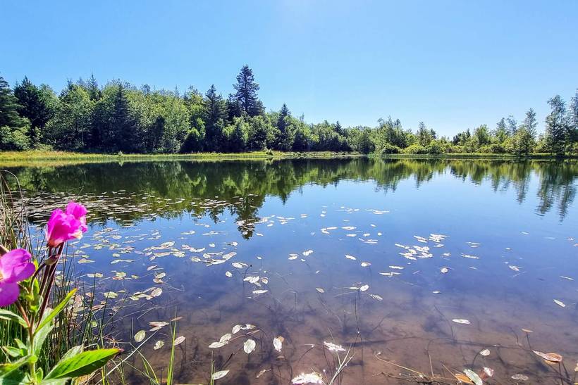 Foto von Ferienhaus TV94 in Vemb - Westjütland