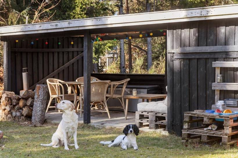 Foto von Ferienhaus TW76 in Fuglslev - Ebeltoft - Ostjütland