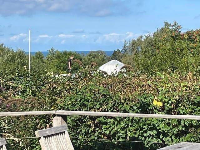 Foto von Ferienhaus TW91 in Sejerø Bugt - Westseeland