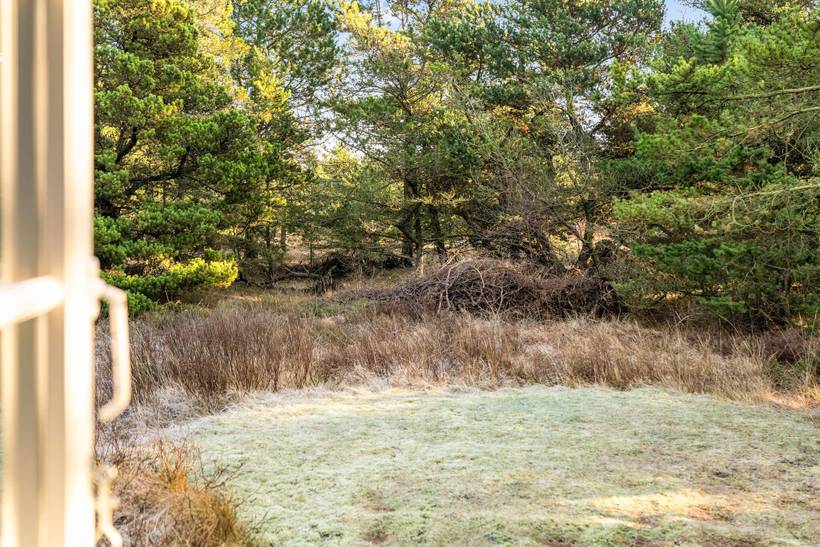 Foto von Ferienhaus TX15 in Kongsmark - Rømø