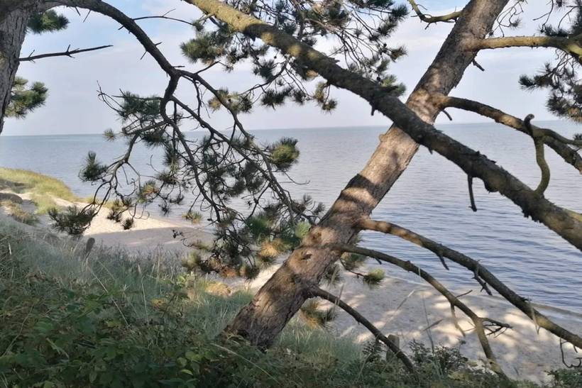 Foto von Ferienhaus TX15 in Kongsmark - Rømø