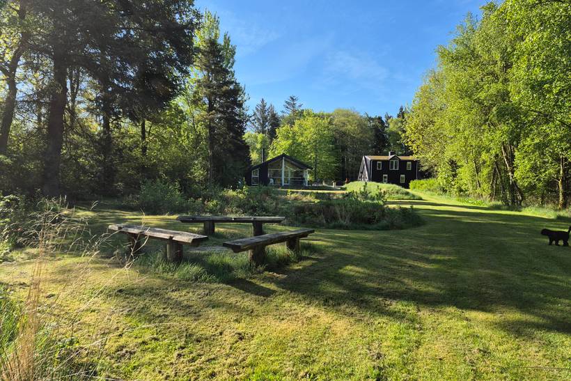 Foto von Ferienhaus TY18 in Fur - Thy/Limfjord