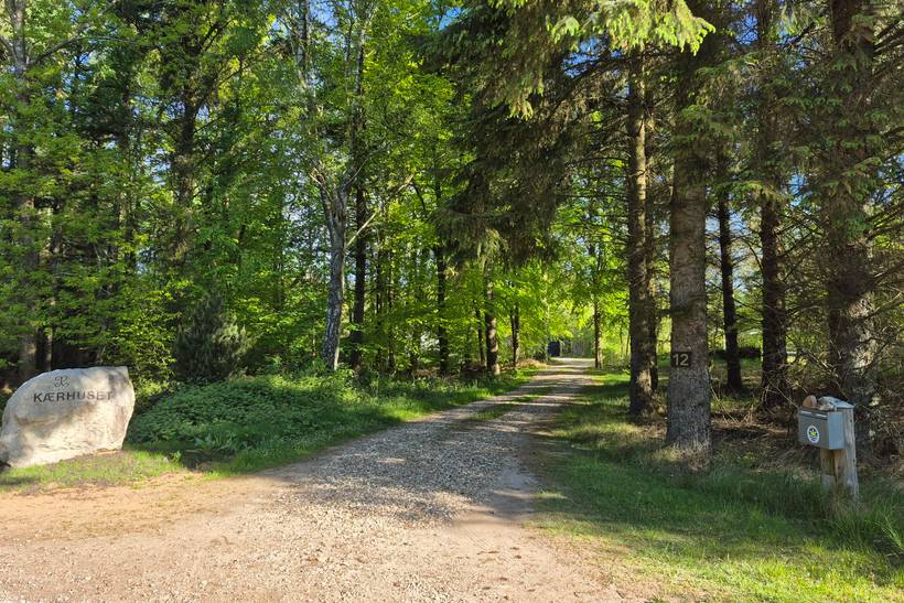 Foto von Ferienhaus TY18 in Fur - Thy/Limfjord