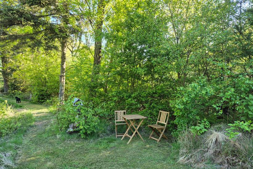 Foto von Ferienhaus TY18 in Fur - Thy/Limfjord