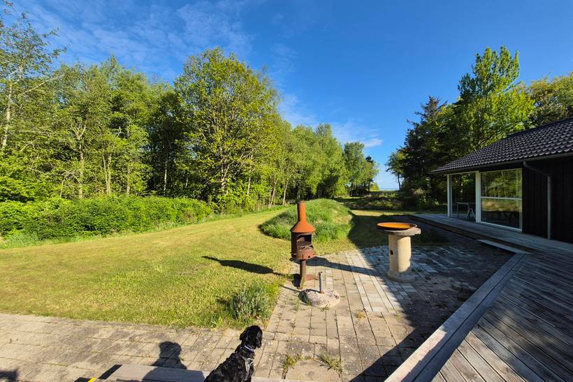 Foto von Ferienhaus TY18 in Fur - Thy/Limfjord