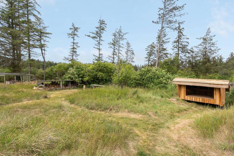 Foto von Ferienhaus TZ07 in Saltum - Blokhus - Nordjütland