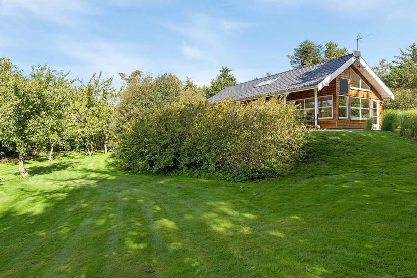 Foto von Ferienhaus TZ81 in Hvalpsund - Thy/Limfjord