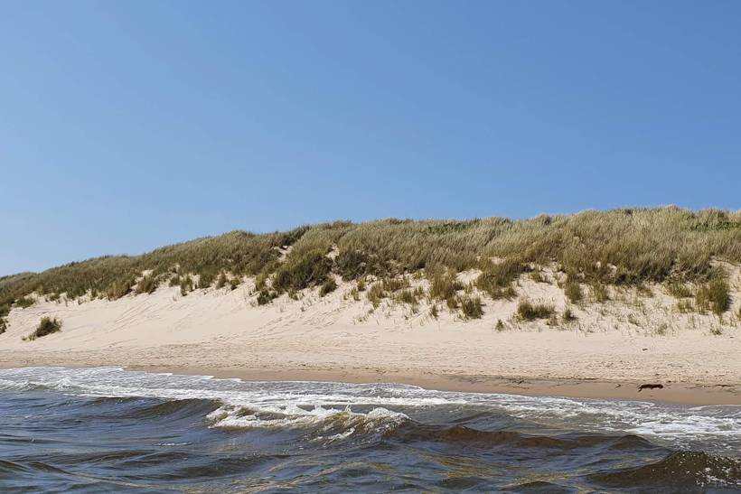 Foto von Ferienhaus UA36 in Ålbæk - Skagen - Nordjütland