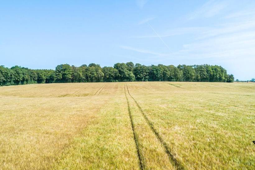 Foto von Ferienhaus UA86 auf Nybølle - Lolland