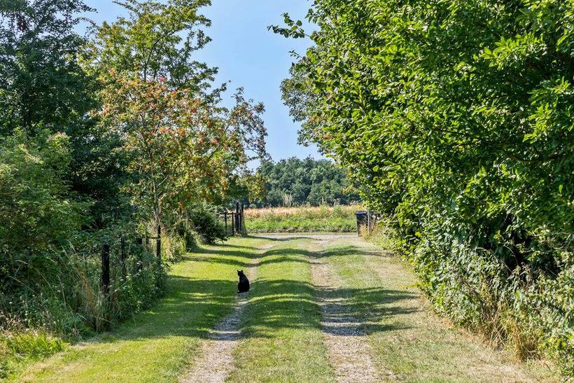 Foto von Ferienhaus UA86 auf Nybølle - Lolland