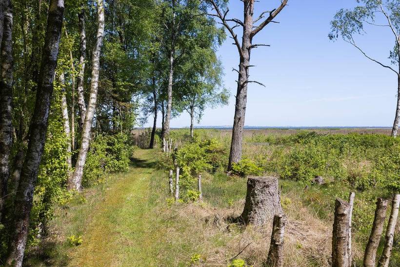 Foto von Ferienhaus UB01 in Fur - Thy/Limfjord