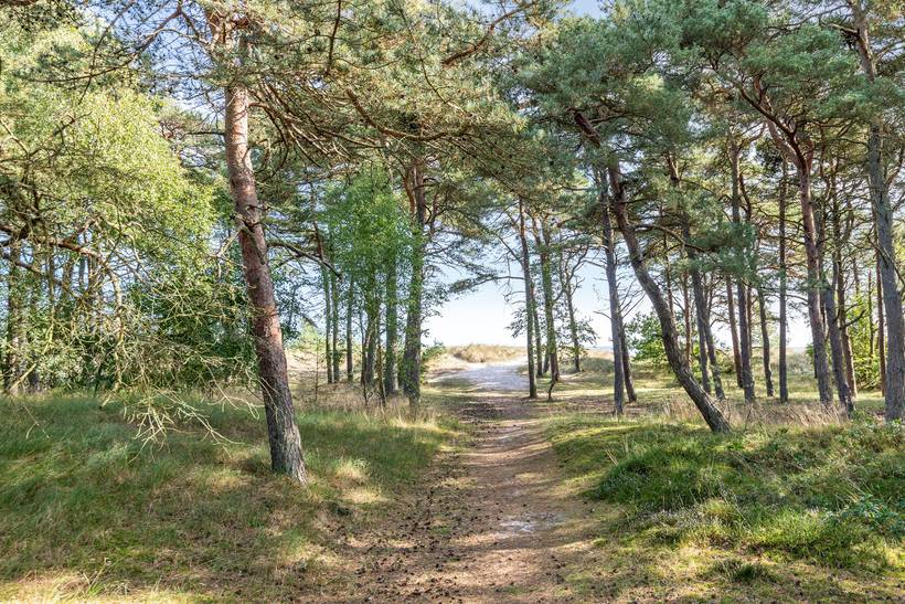 Foto von Ferienhaus UB53 in Dueodde - Bornholm
