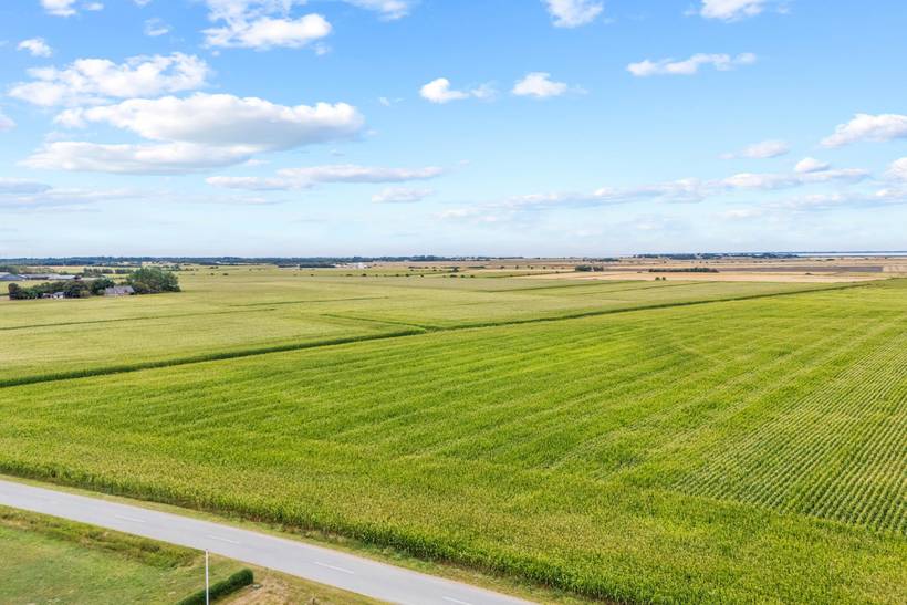 Foto von Ferienhaus UC00 in Ballum - Südjütland