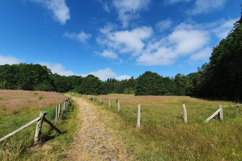 Foto von Ferienhaus UC07 in St. Sjørup - Ostjütland