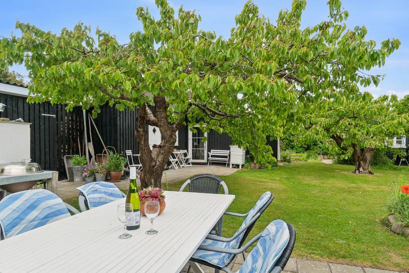 Foto von Ferienhaus UC39 in Sejerø Bugt - Westseeland