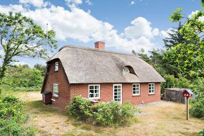 Vorschaubild von Ferienhaus UC91 in Vester Husby - Westjütland