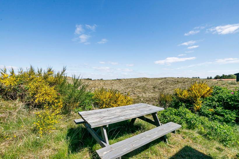 Foto von Ferienhaus UD10 in Haurvig - Årgab - Westjütland