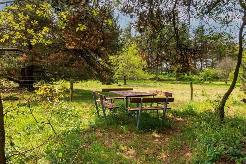 Foto von Ferienhaus UD52 in Fjand - Westjütland
