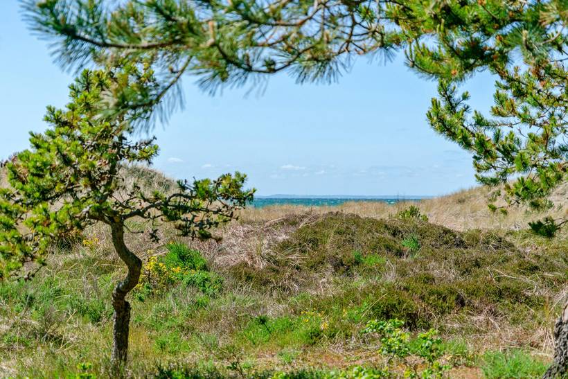 Foto von Ferienhaus UD80 in Vesterø - Læsø