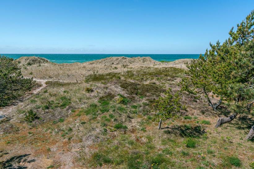 Foto von Ferienhaus UD80 in Vesterø - Læsø