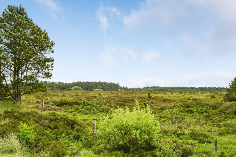 Foto von Ferienhaus UE12 in Kongsmark - Rømø