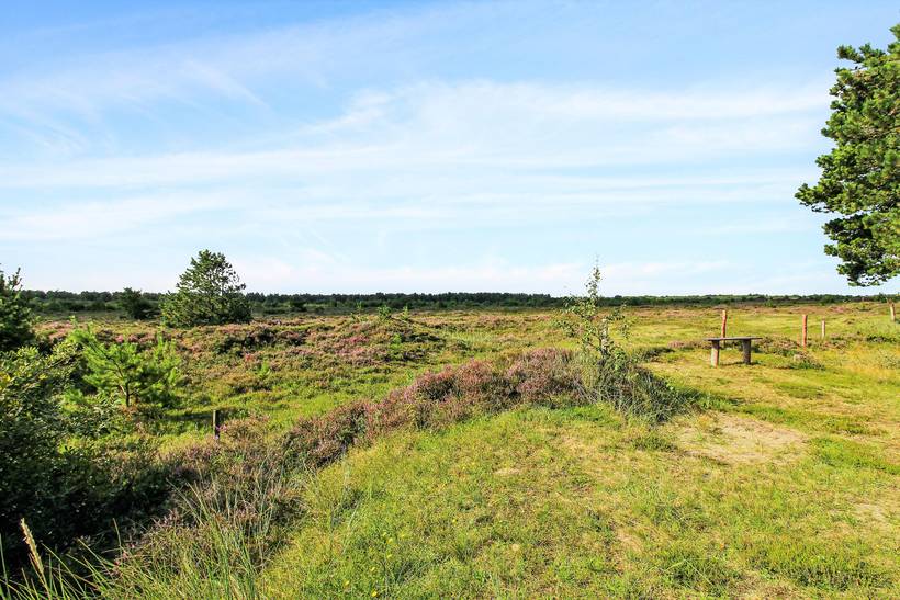 Foto von Ferienhaus UE12 in Kongsmark - Rømø