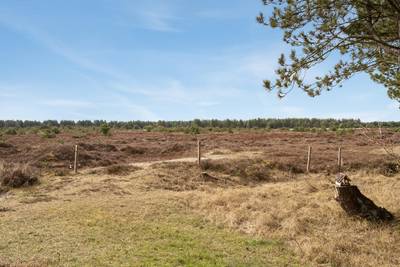 Vorschaubild von Ferienhaus UE12 in Kongsmark - Rømø