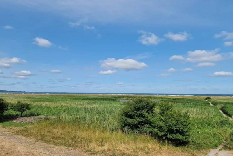 Foto von Ferienhaus UE84 in Sejerø Bugt - Westseeland