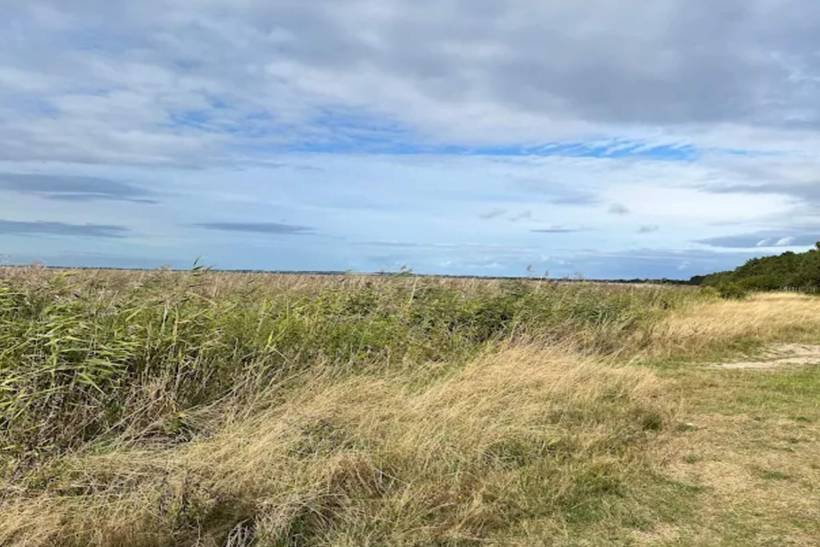 Foto von Ferienhaus UE84 in Sejerø Bugt - Westseeland