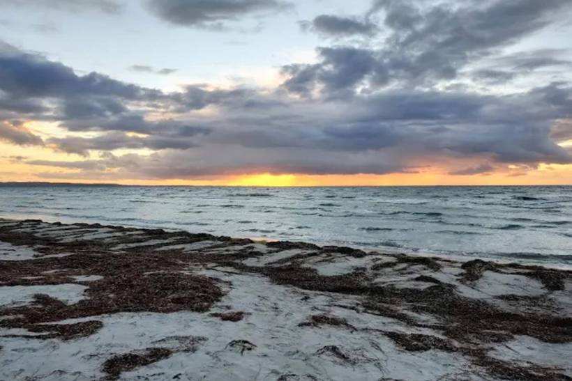 Foto von Ferienhaus UE84 in Sejerø Bugt - Westseeland