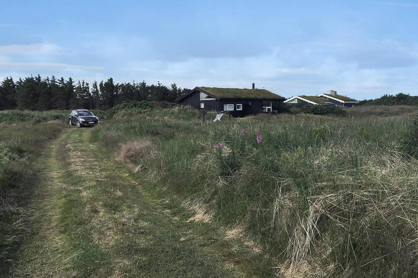 Foto von Ferienhaus UE88 in Kandestederne - Skagen - Nordjütland