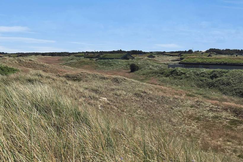 Foto von Ferienhaus UE88 in Kandestederne - Skagen - Nordjütland