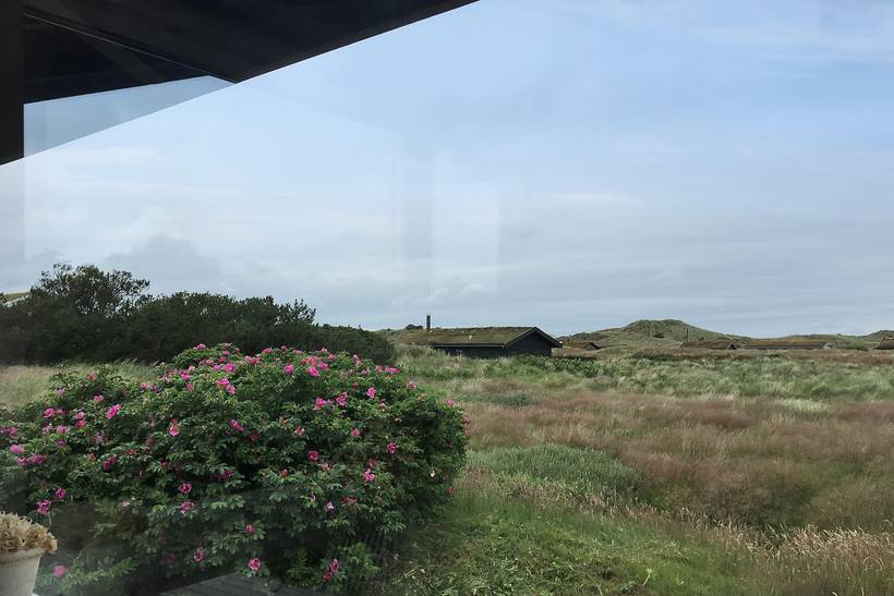 Foto von Ferienhaus UE88 in Kandestederne - Skagen - Nordjütland