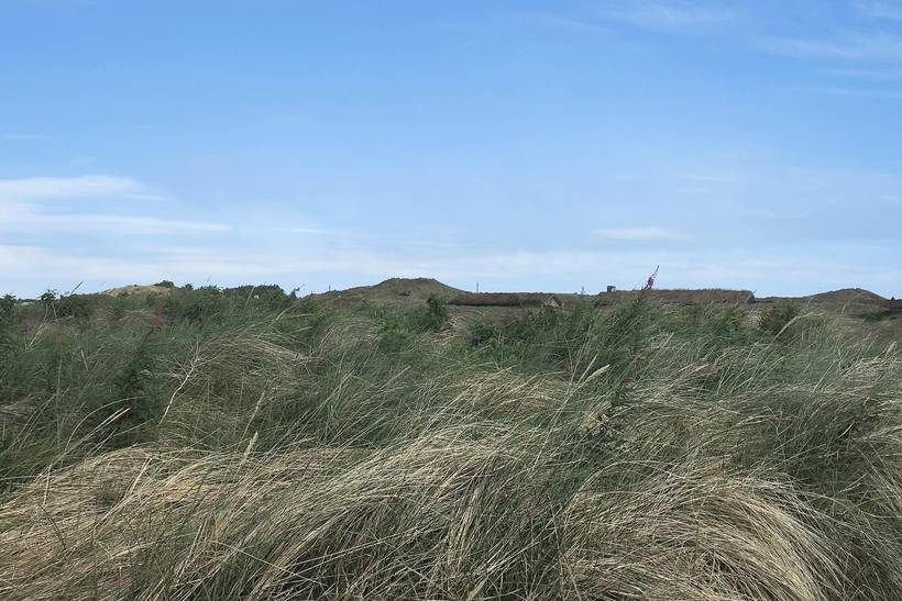 Foto von Ferienhaus UE88 in Kandestederne - Skagen - Nordjütland