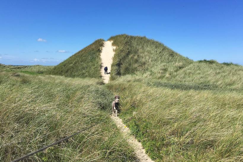 Foto von Ferienhaus UE88 in Kandestederne - Skagen - Nordjütland